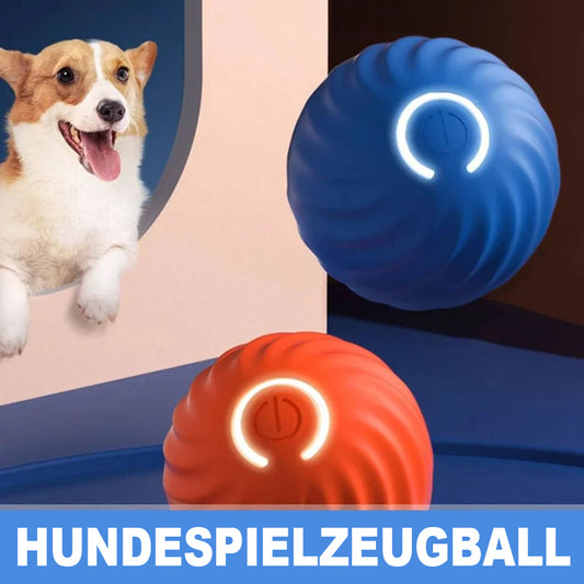 ✨ Letzter Tag der Aktion 🎁 Hundespielzeugball 💥